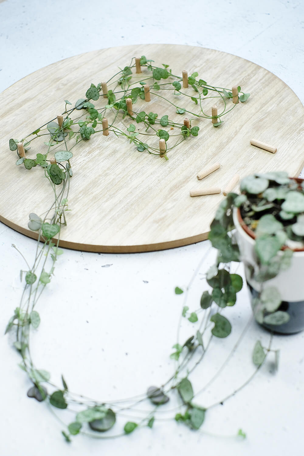DIY Monogram auf Pflanzen und Holz als Geschenk für den Valentinstag, von Gingered Things