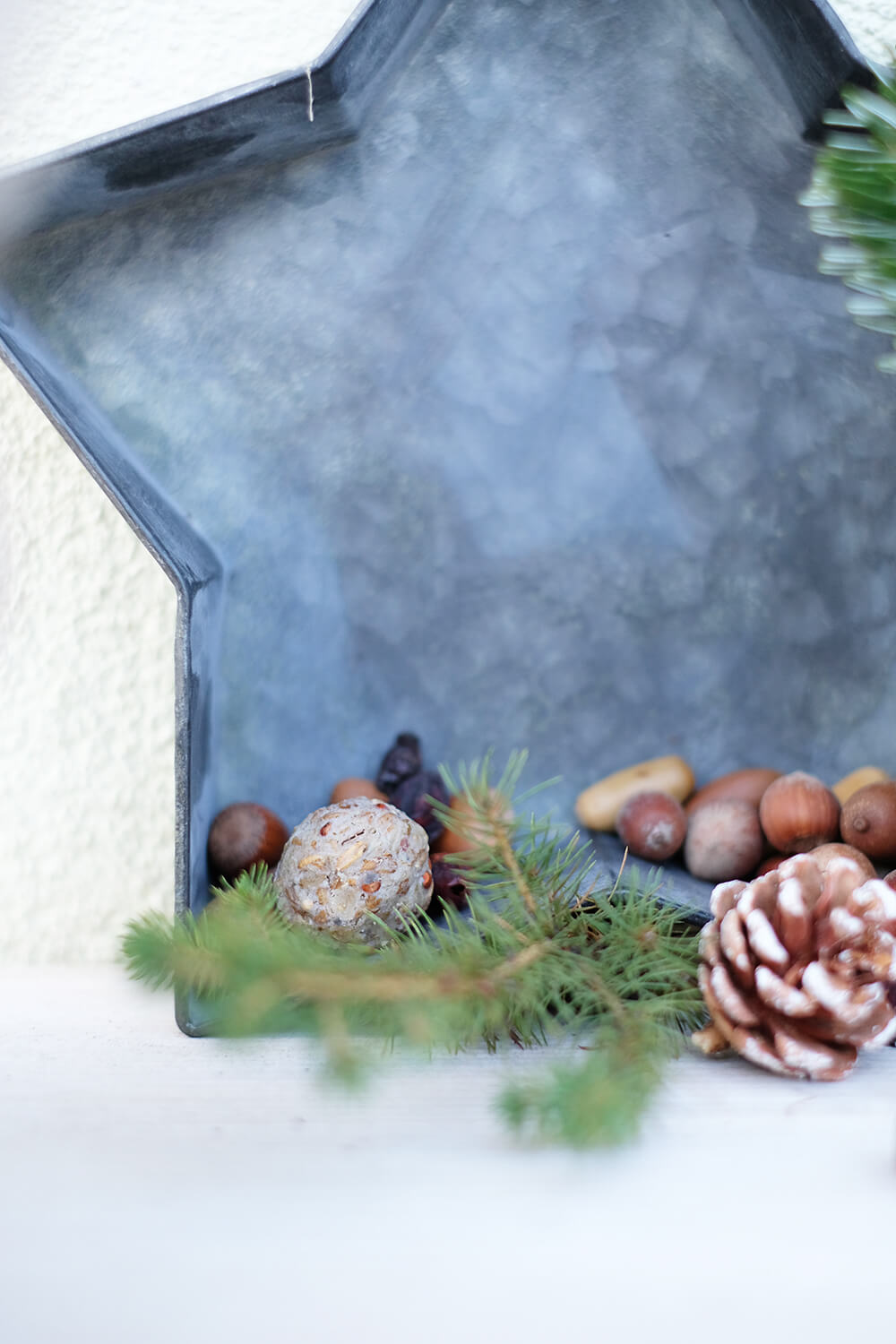 DIYnachten - Weihnachten für die Vögel im Garten mit dehner und Gingered Things