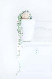DIY Challenge, Greenery, Rapunzel aus Holuzkugel und String of Hearts - Gingered Things